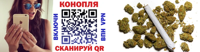 нарко площадка официальный сайт  Киреевск  Шишки марихуана семена 